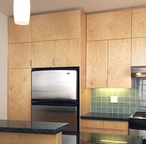 orlando modern kitchen builder